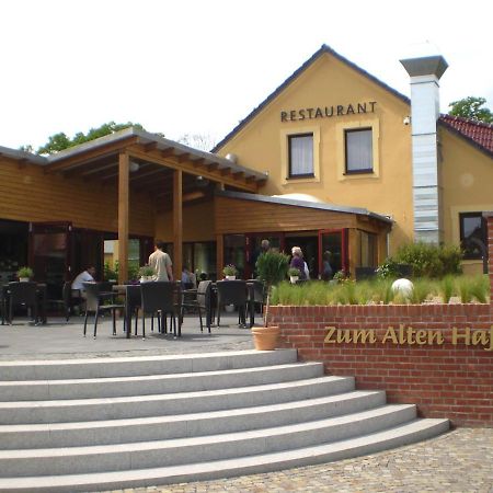 Zum Alten Hafen Ратенау Екстериор снимка